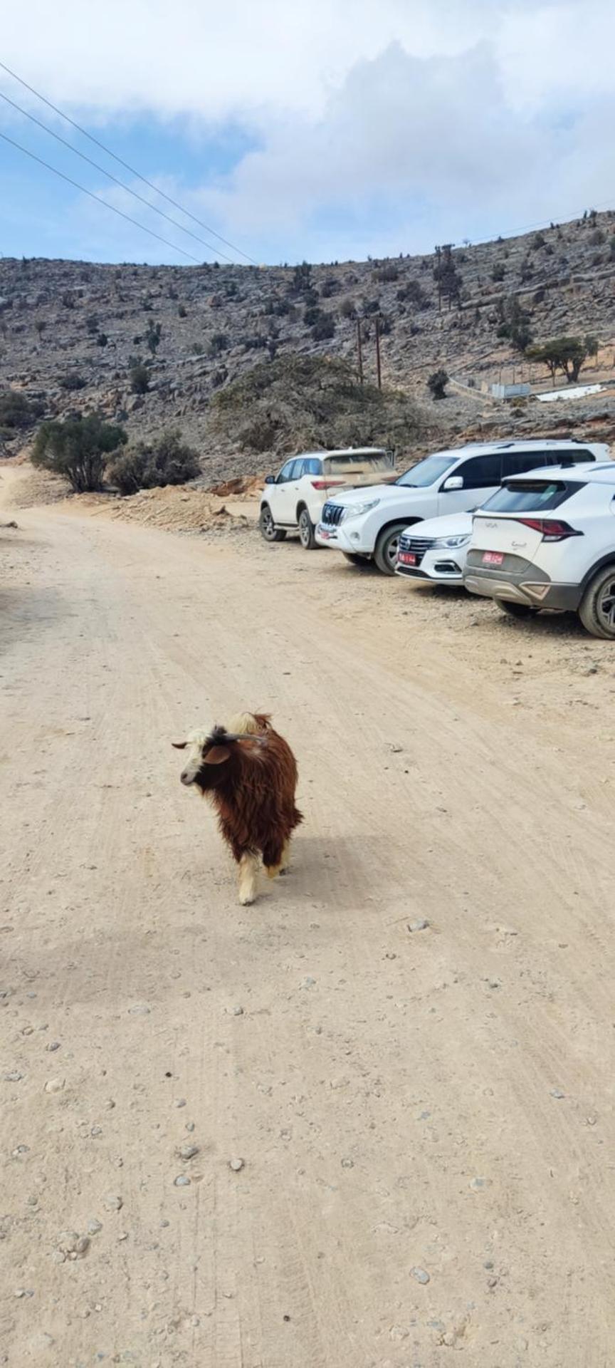 بيت الراحة Rest House