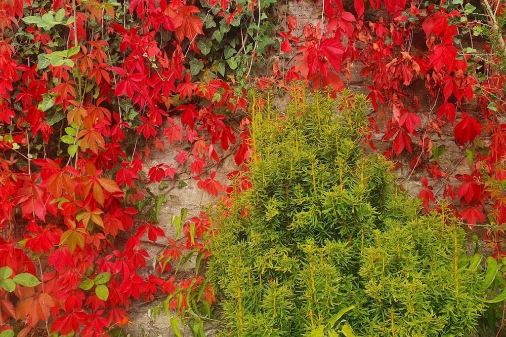 Clairville : Georgian Suite - Central Ross-on-Wye