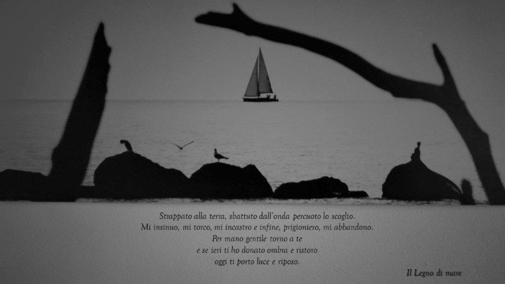 Appartamento il legno di mare