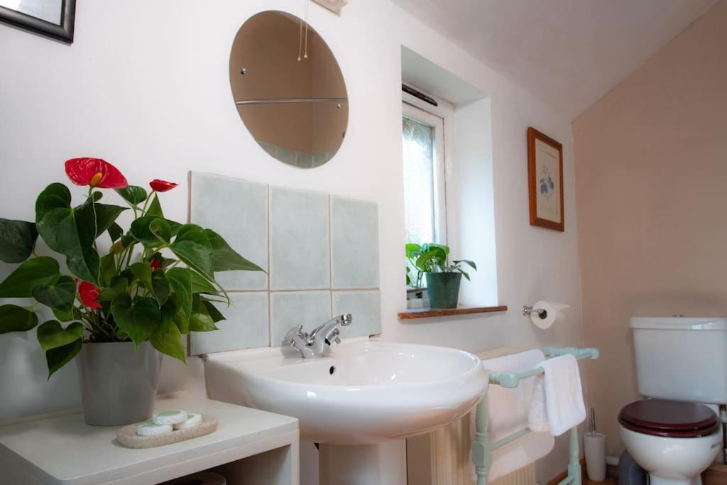 Yr Hen Efail - Old Smithy