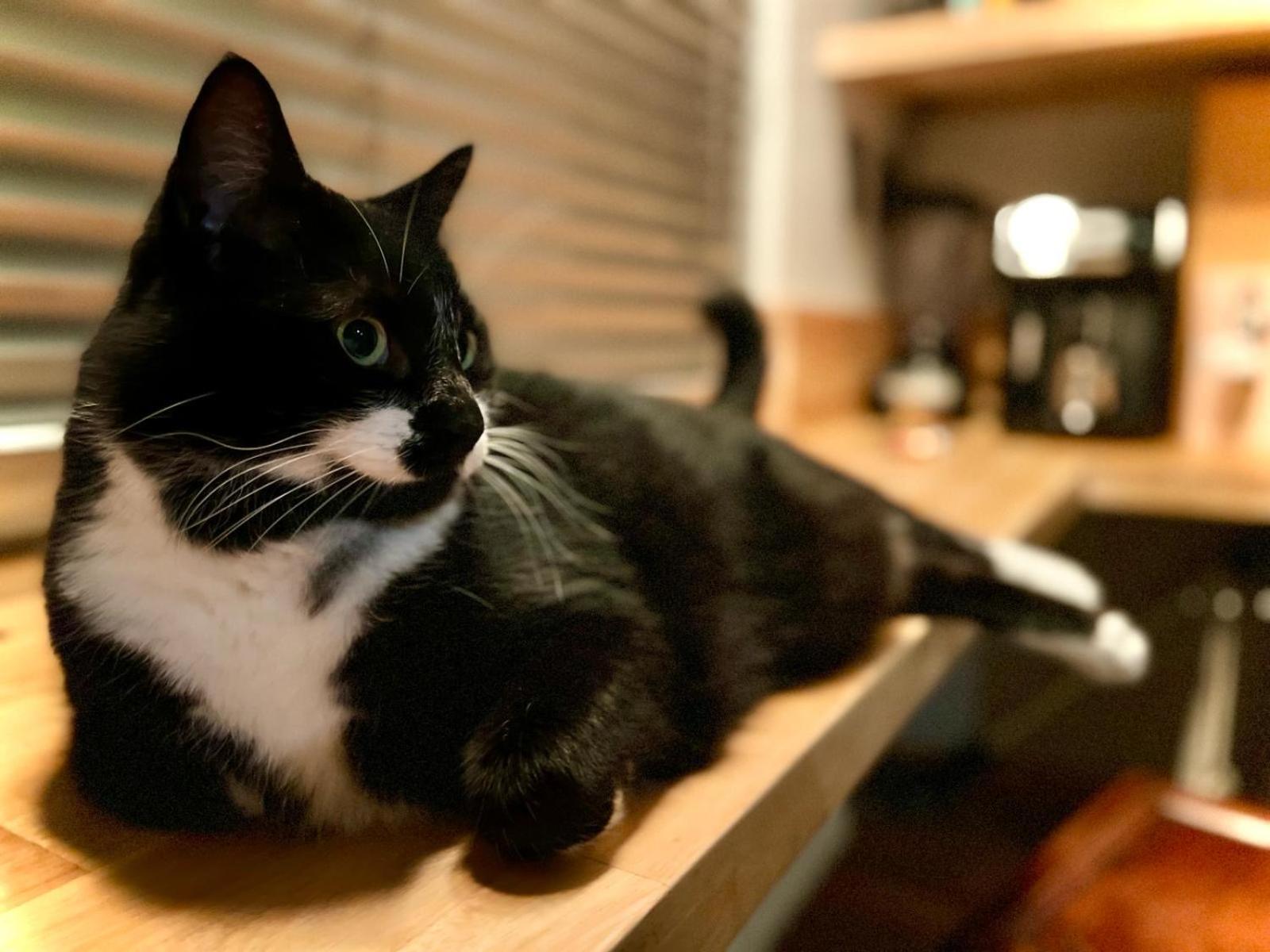 La bellétage by Agelandkaai be with Free Parking