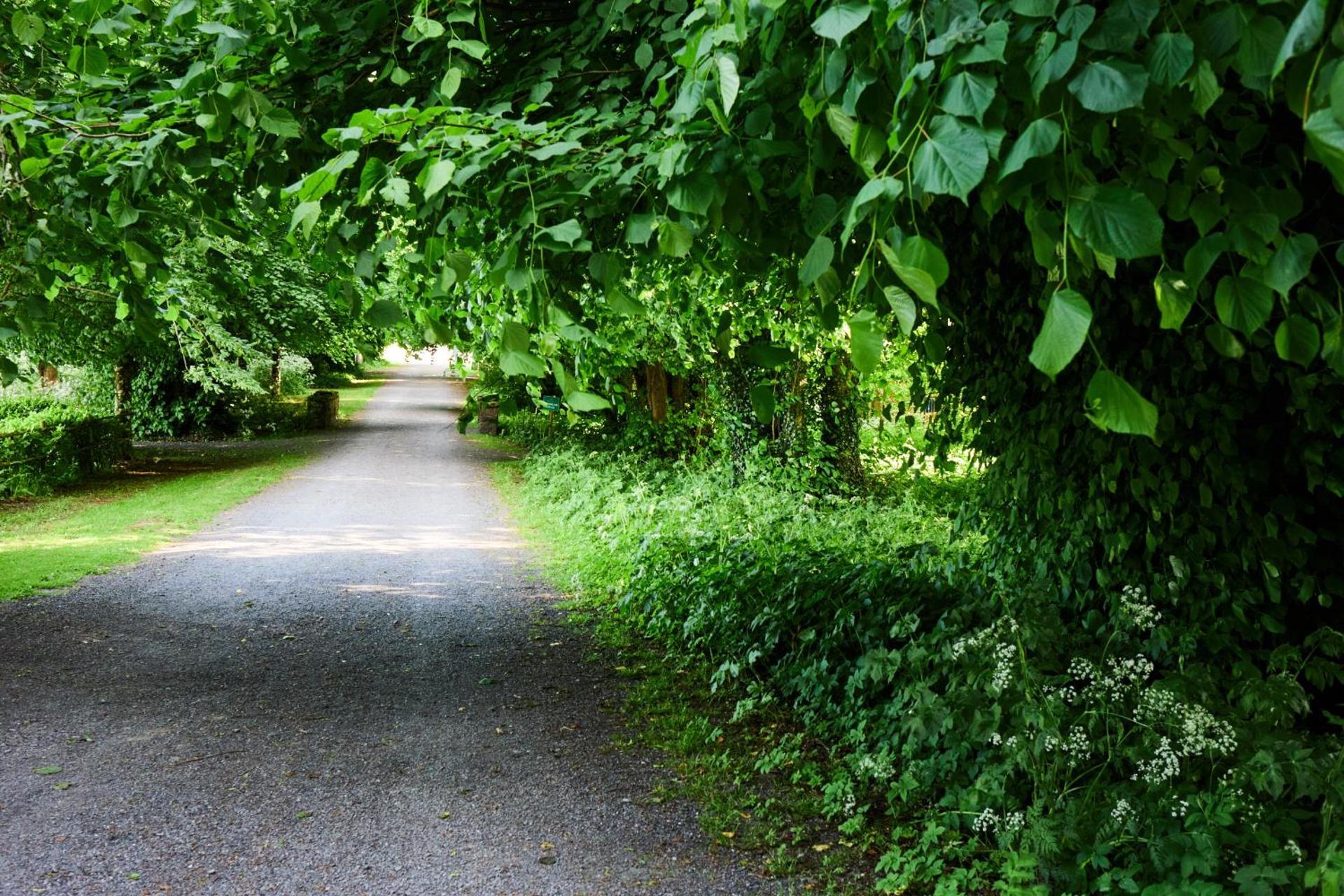 Loughcrew Courtyard House