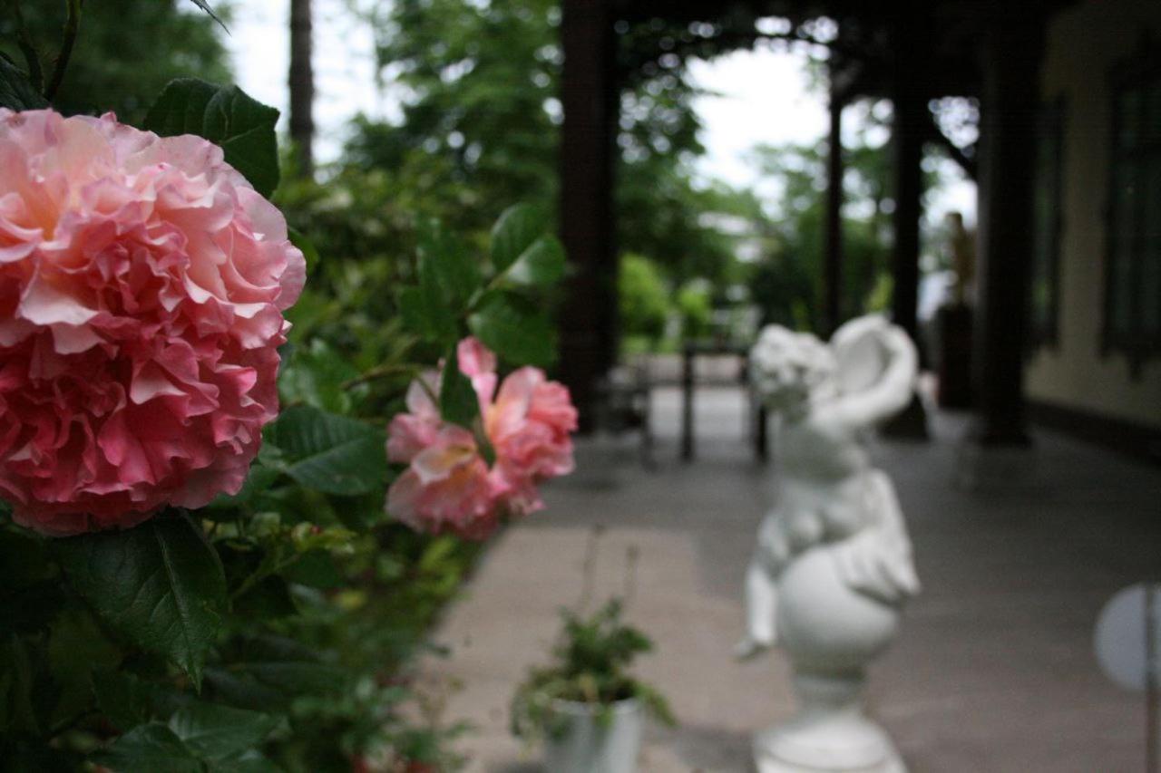 Villa Musik - historical apartments, Baden