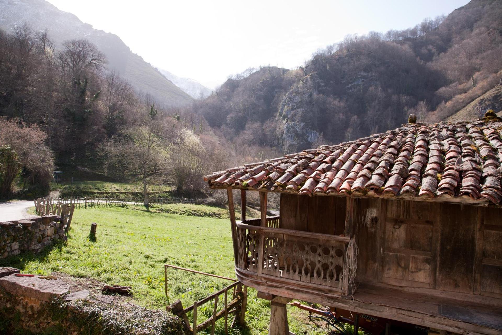 Apartamentos Valdecarzana Senda del Oso
