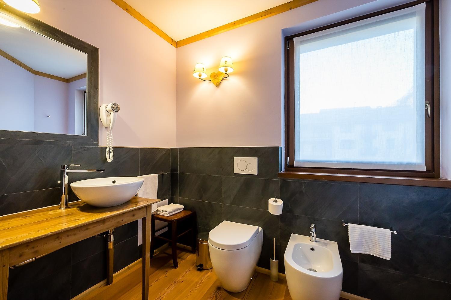 Mirtillo Alpino Casa Vacanze