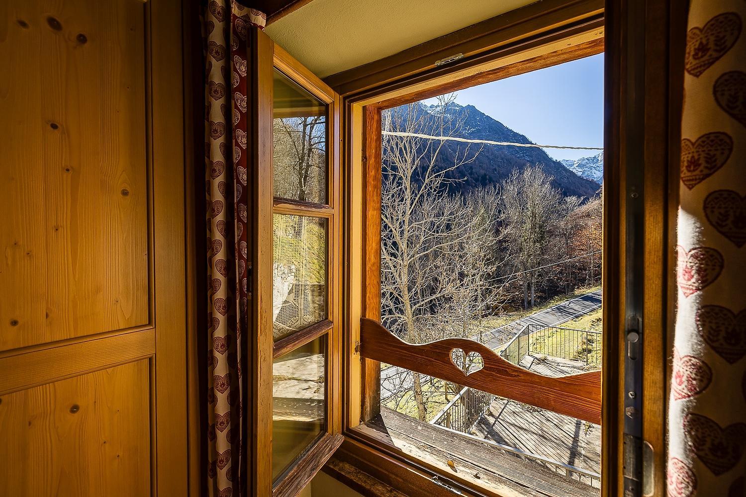 Mirtillo Alpino Casa Vacanze