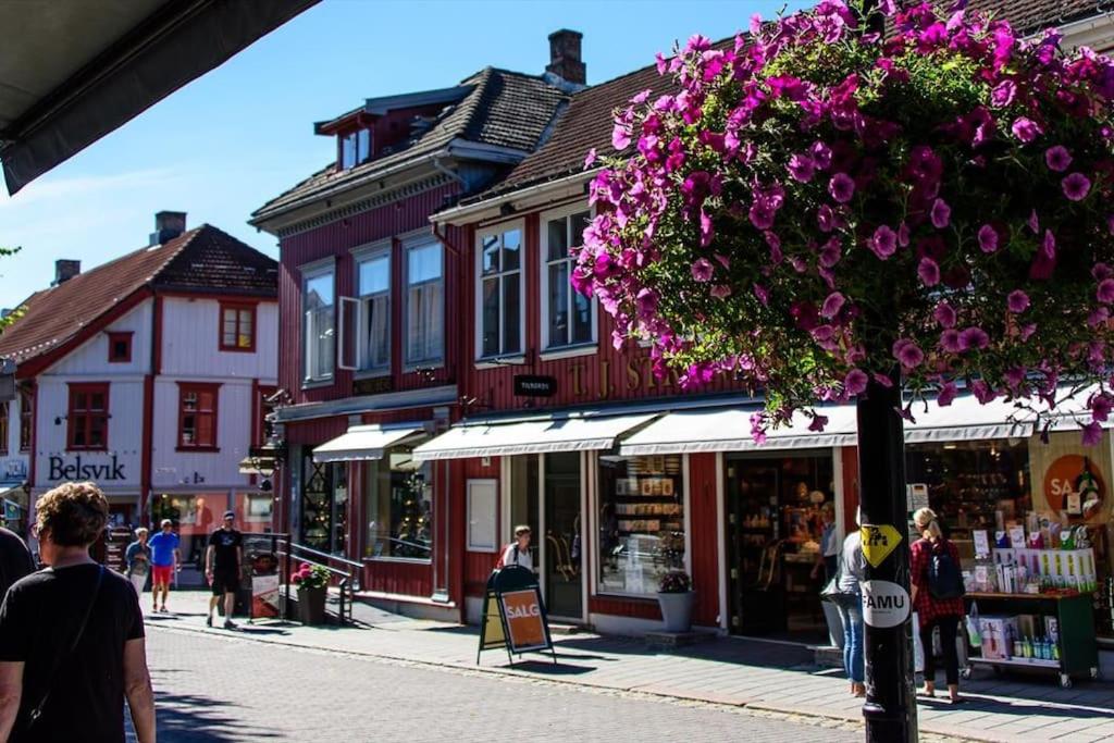 Solrikt og sentralt. Ta med både to og firbeinte