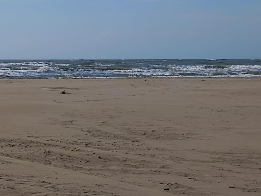 Sopraland 515, T2 parking piscine, 200m plage