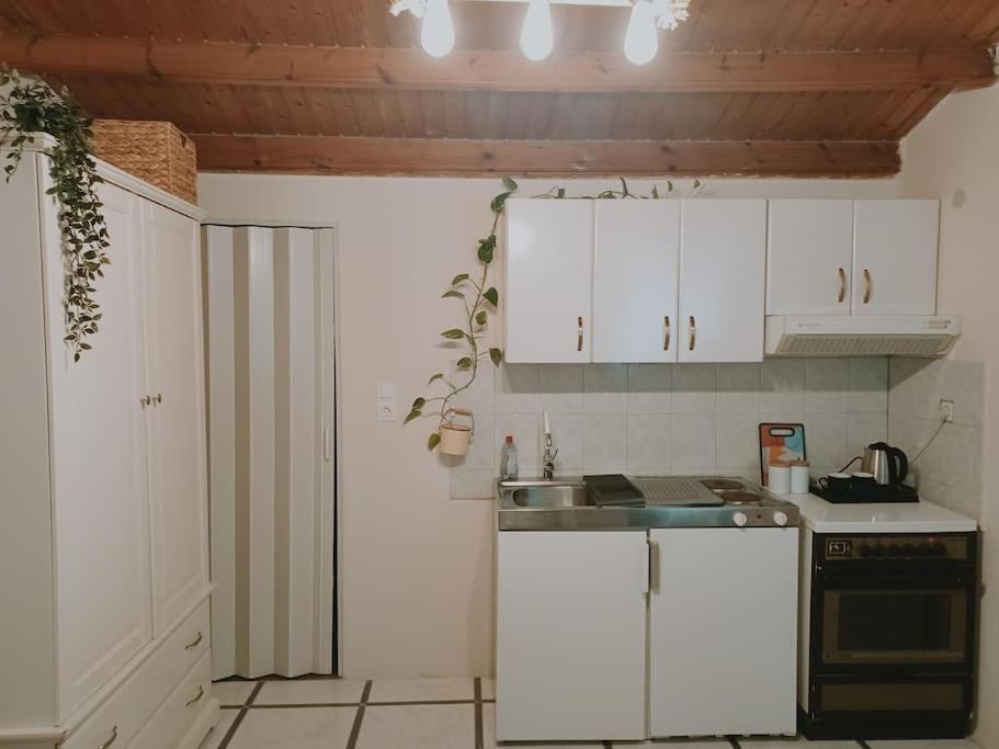 Little Cottage with Garden