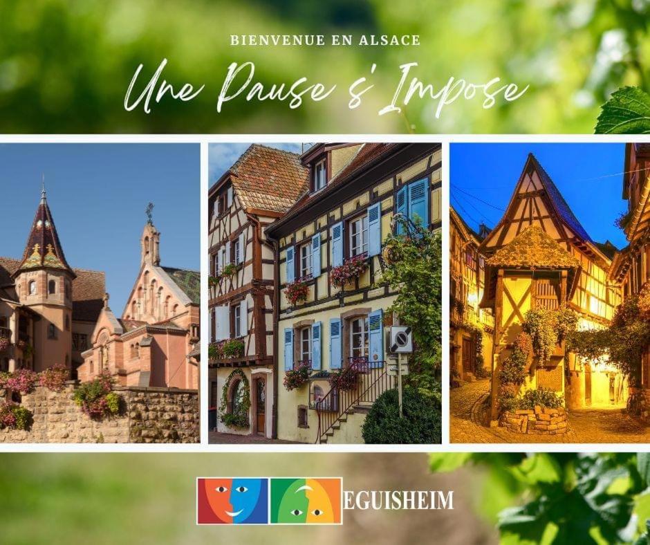 Charmant appartement Cosy porte de Colmar