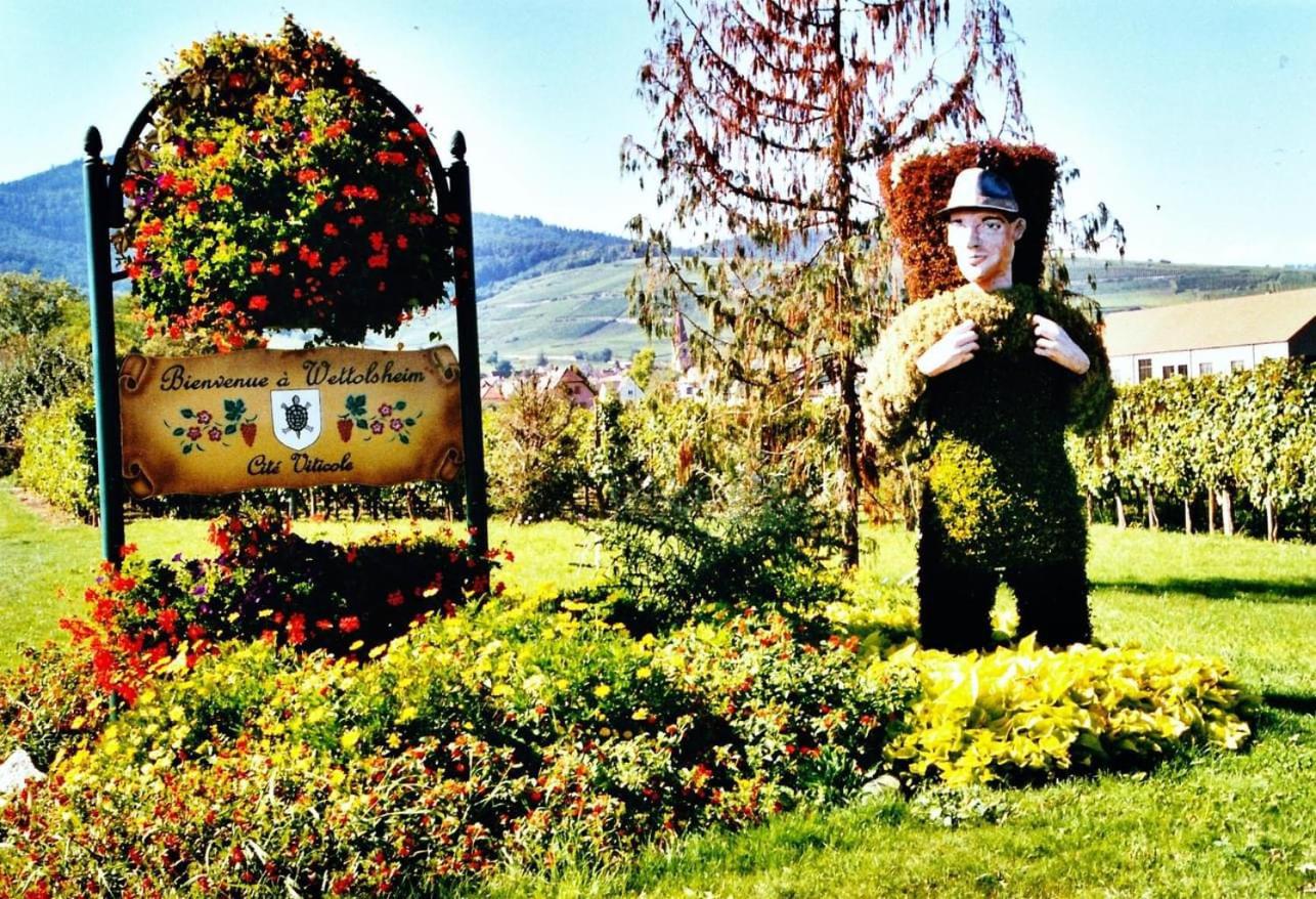 Charmant appartement Cosy porte de Colmar