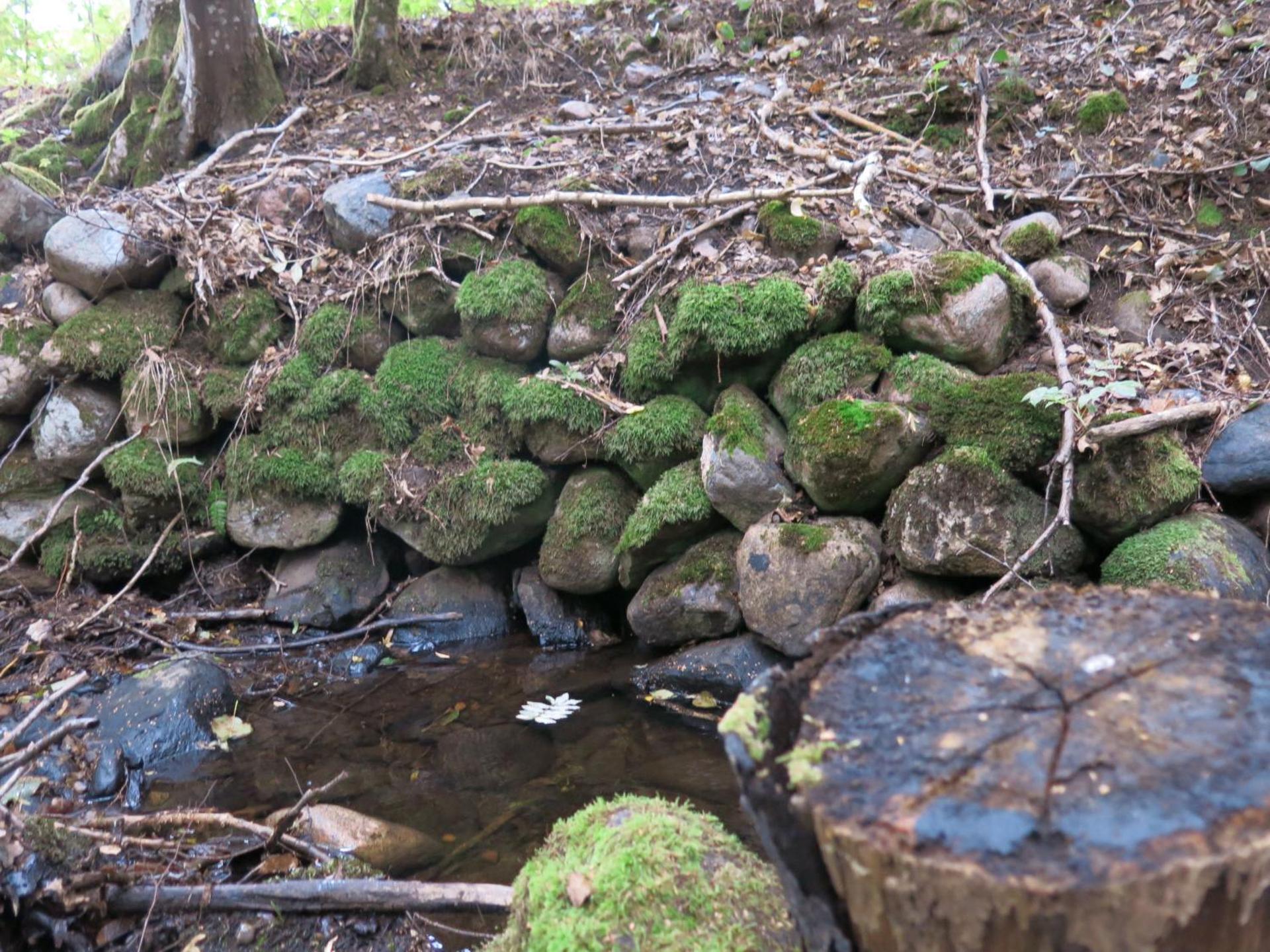 Östra Nyrups Lantliv