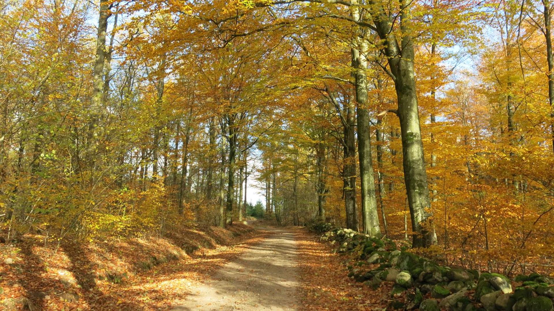 Östra Nyrups Lantliv