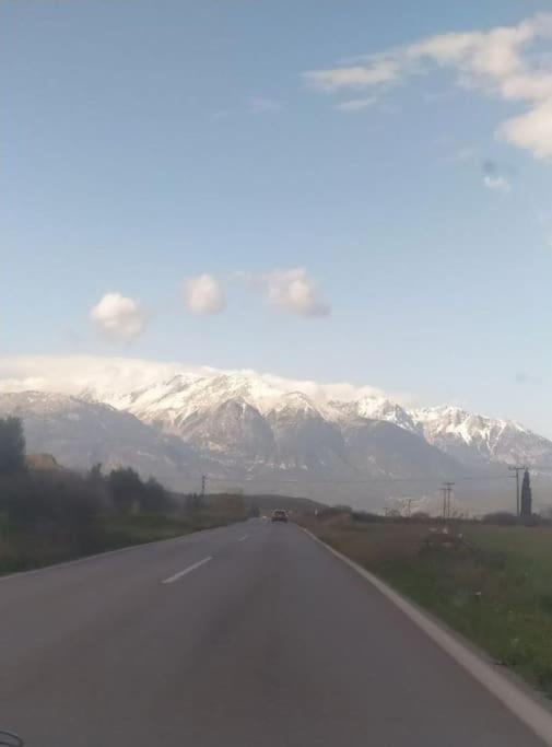 Βίλα Ελιά Παραδοσιάκο σπίτι στην Αμφίκλεια