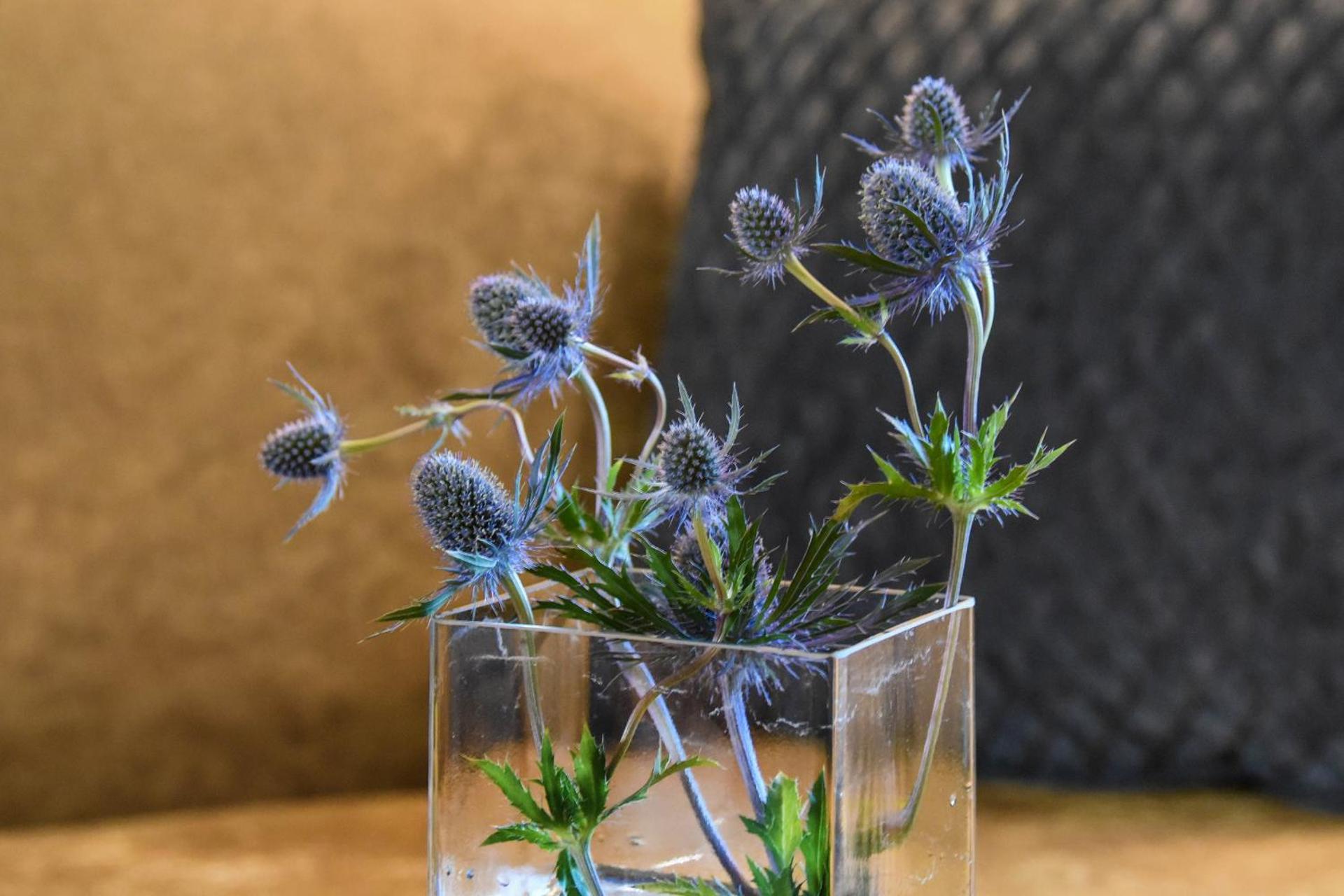 Junior Suite Cresta with balcony