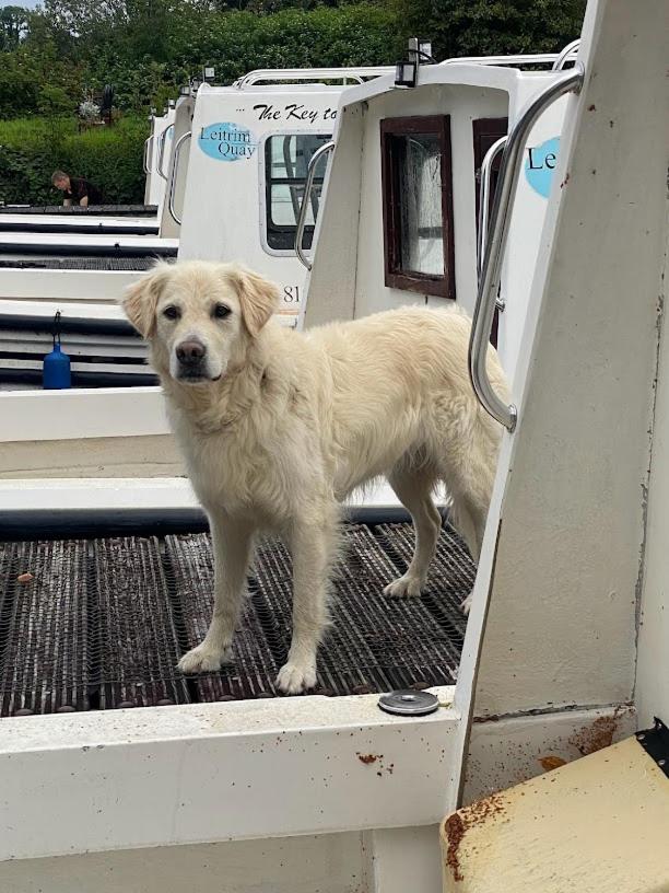 Leitrim Quay - Riverside Cottage 8