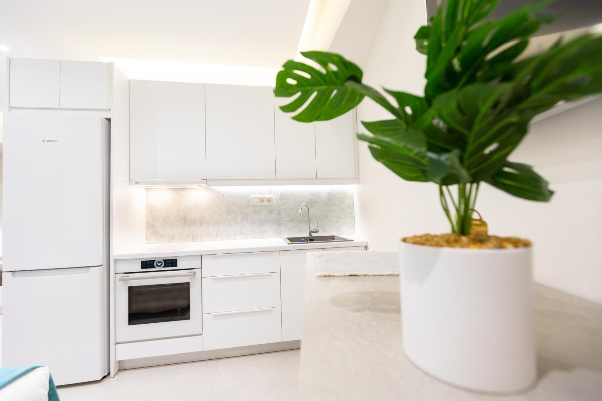 The Window Frame Studio