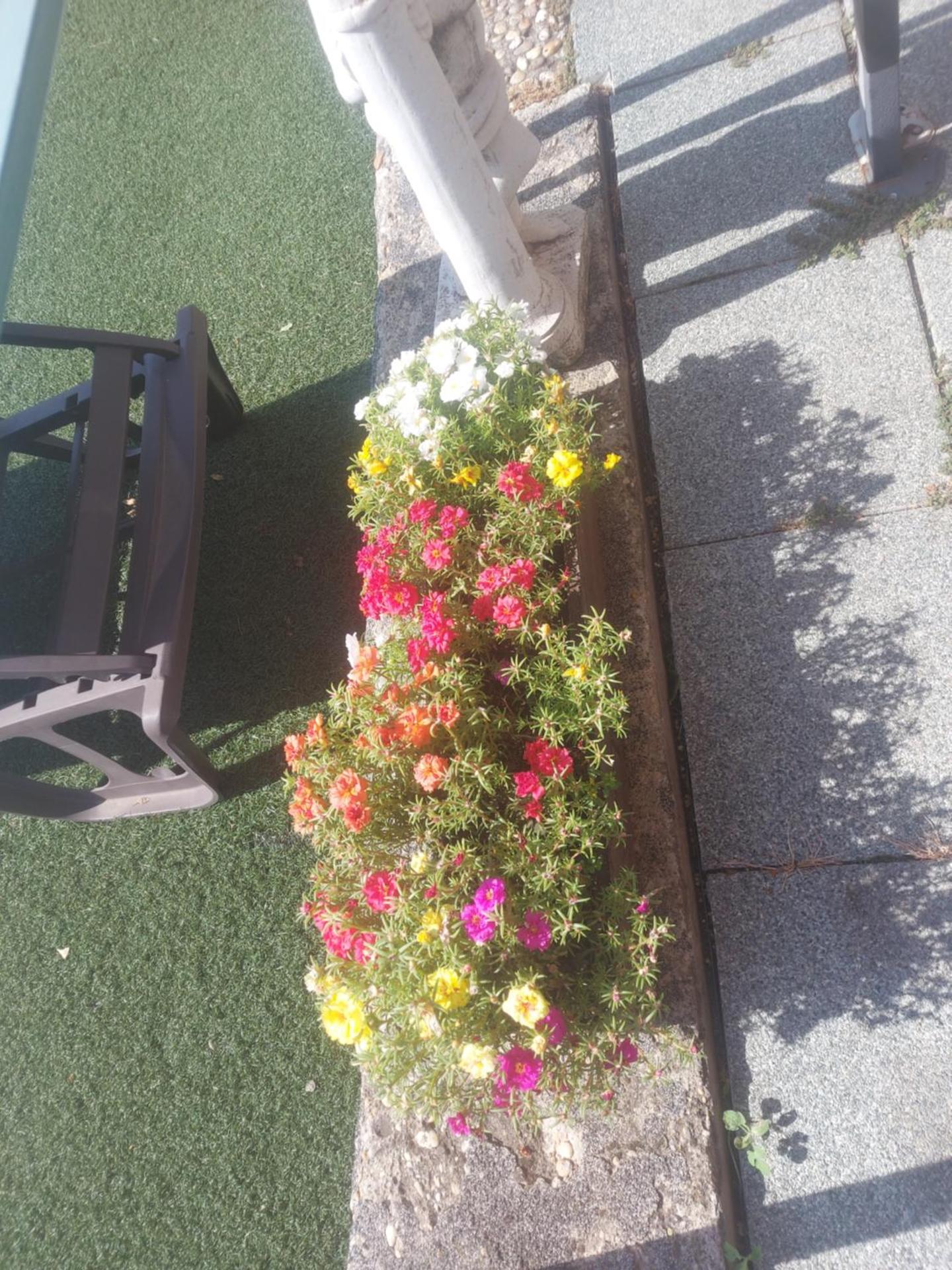 Attila's Guest House