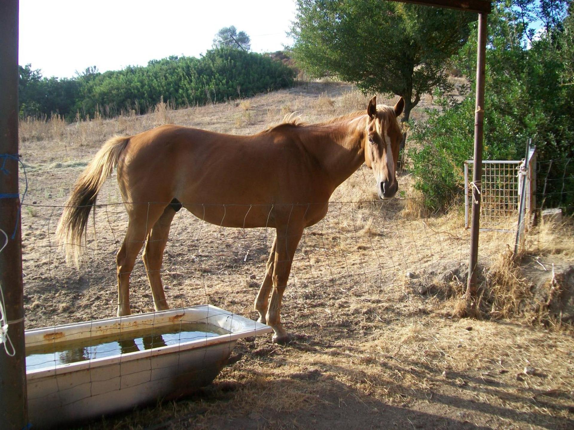 Agriturismo Farris Massimo