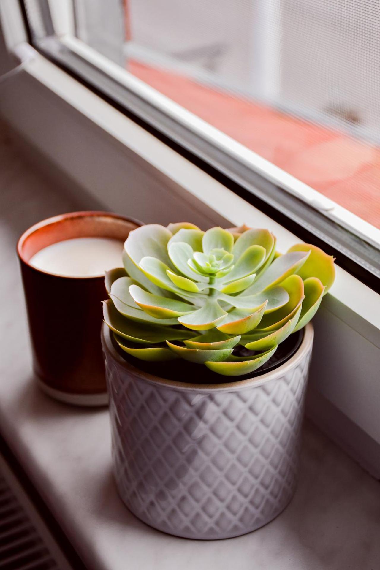 KOCHWERK Restaurant & Pension