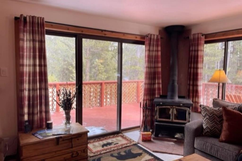 Shady Pines- Cozy Mountain Retreat