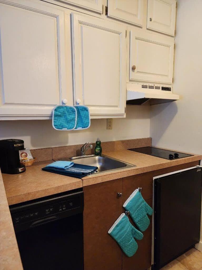 1st Floor Mountain View Suite Ski On Off At Jiminy- Fully Redone Decor