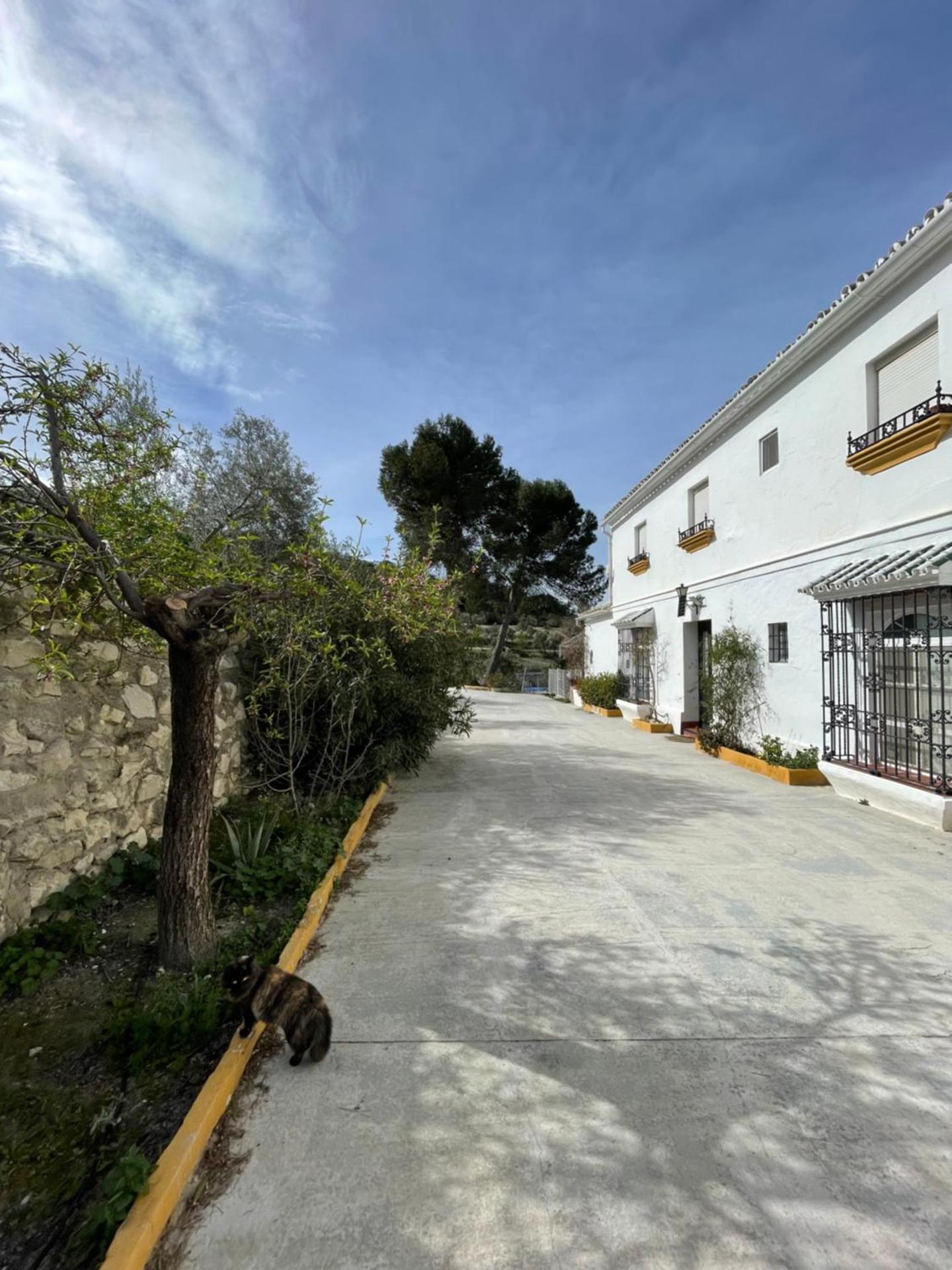 Viña Zarzarrosa Osuna