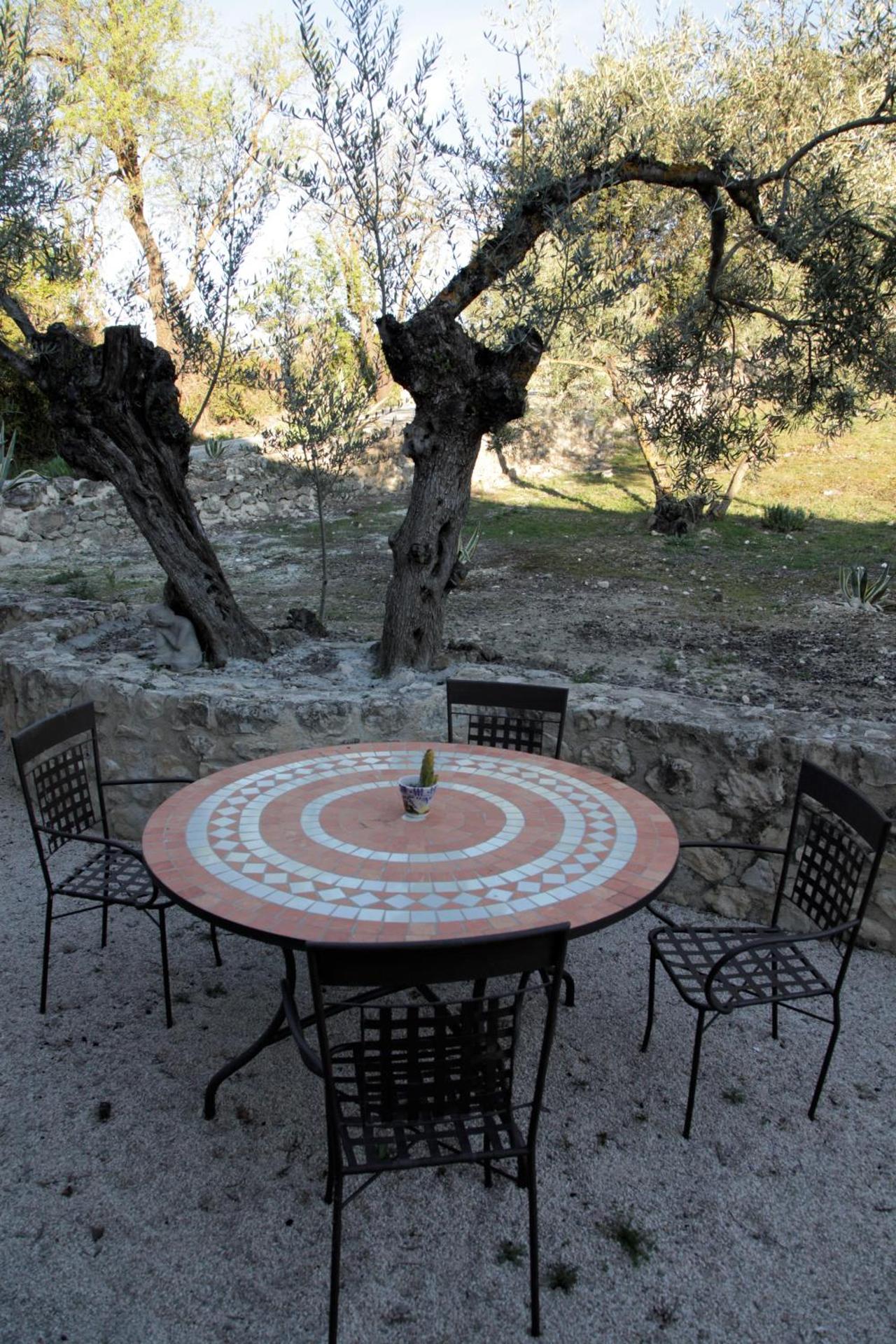 Viña Zarzarrosa Osuna