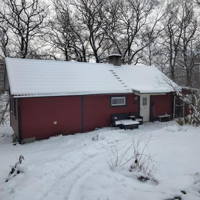 Ekbacken - naturskön stuga med närhet till havet