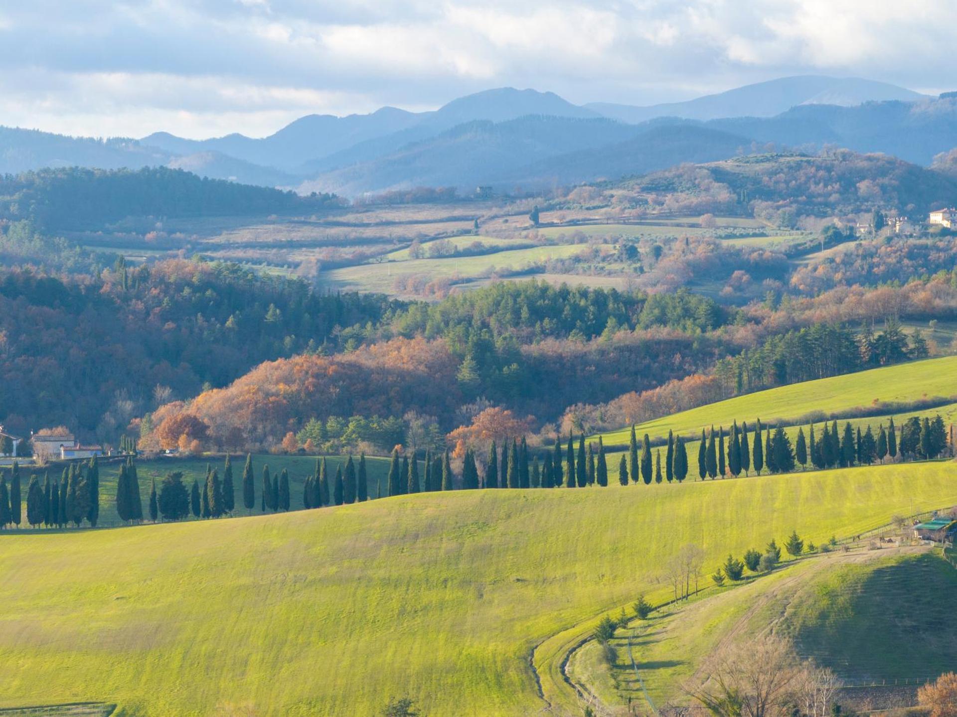 View (from property/room)