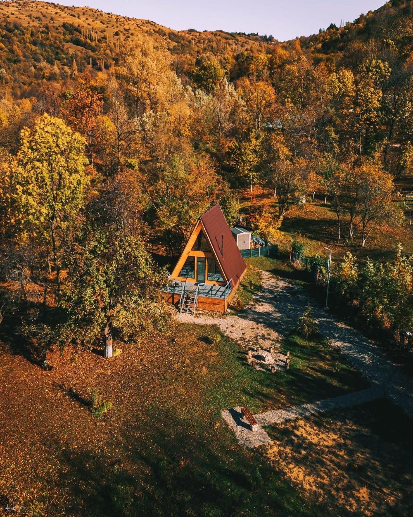 Casutele din Poienita