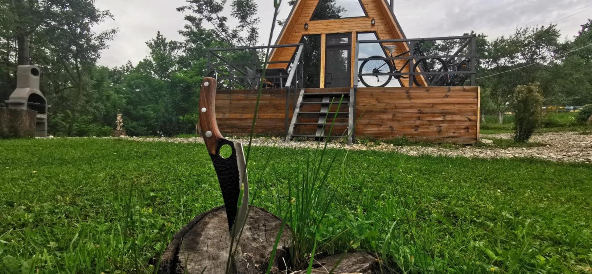 Casutele din Poienita