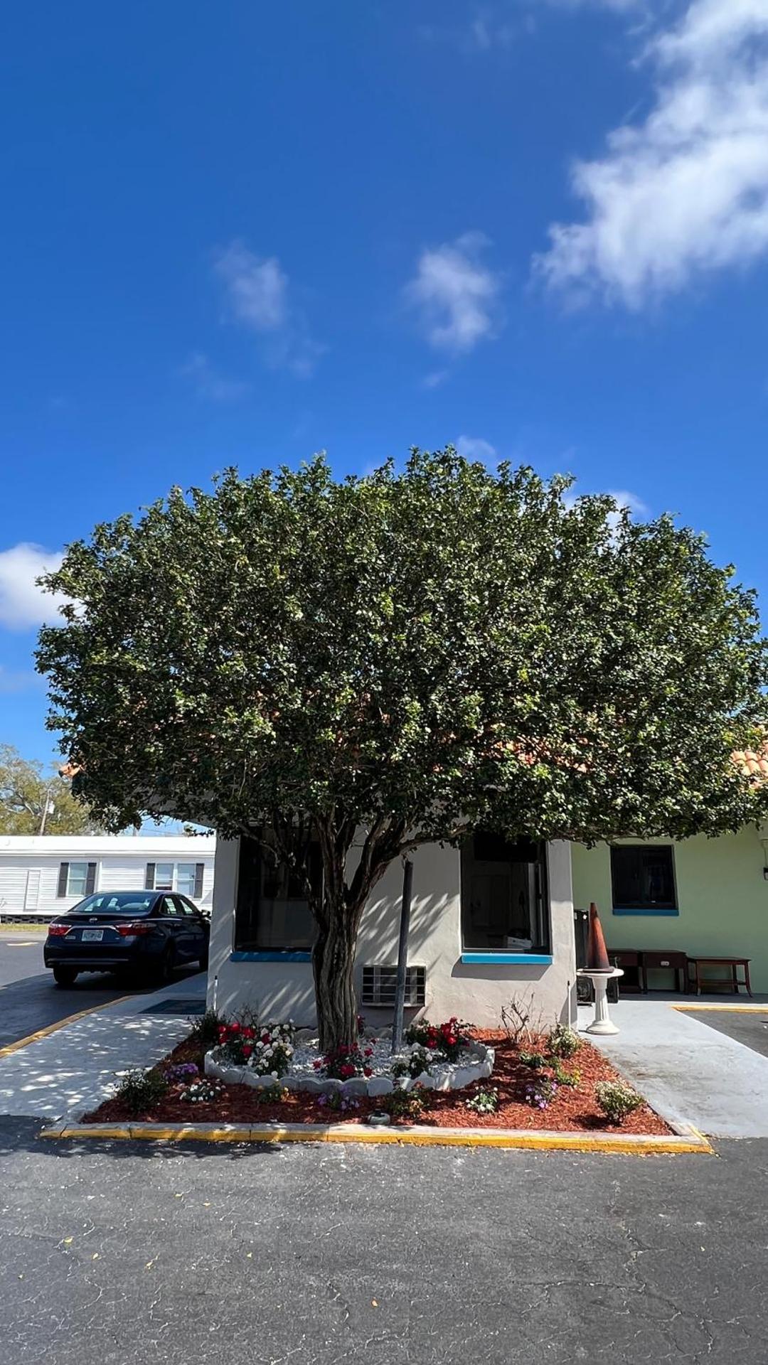 Gulf Way Inn Clearwater