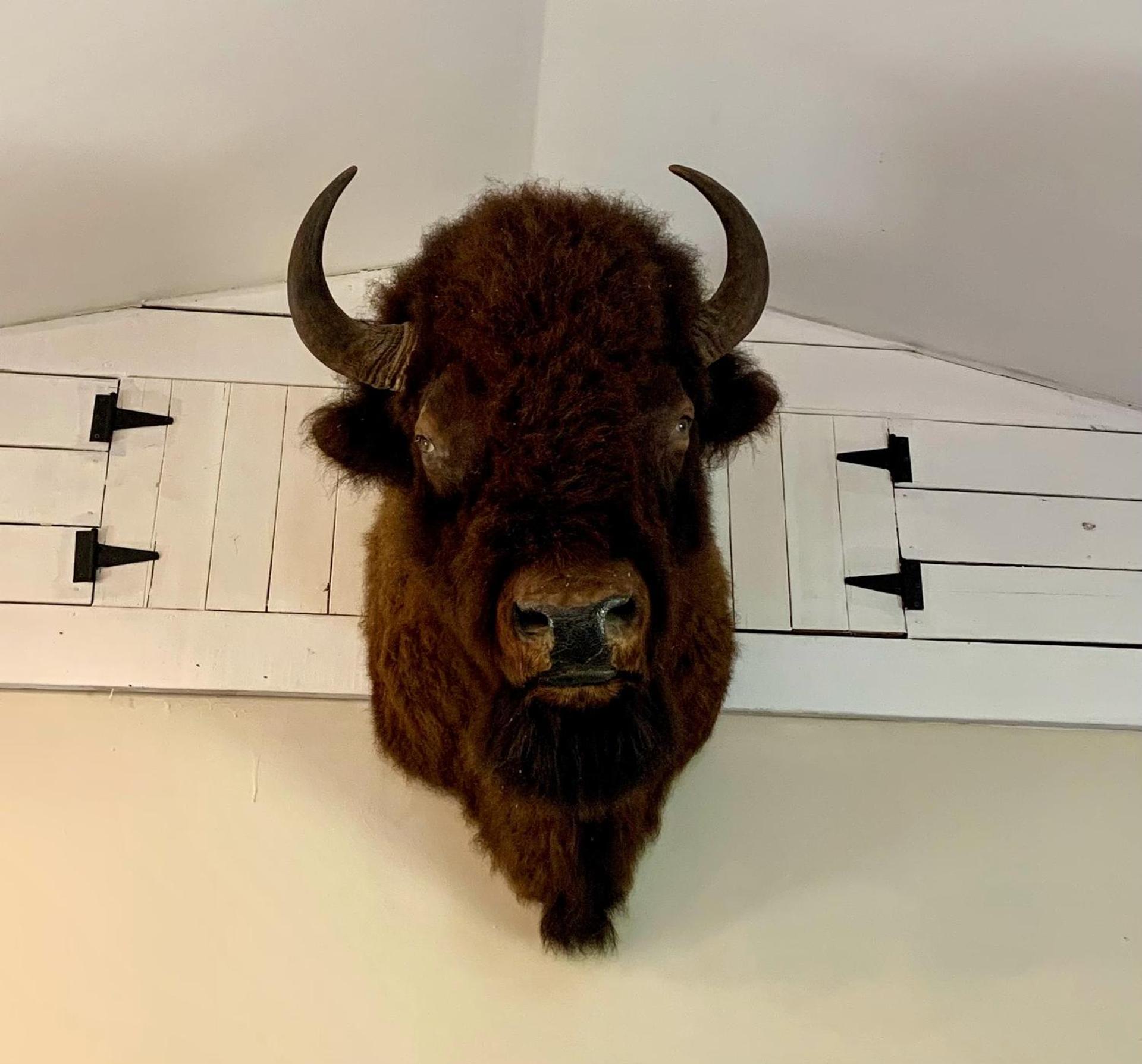 Beaver Dam Mountain Cabins