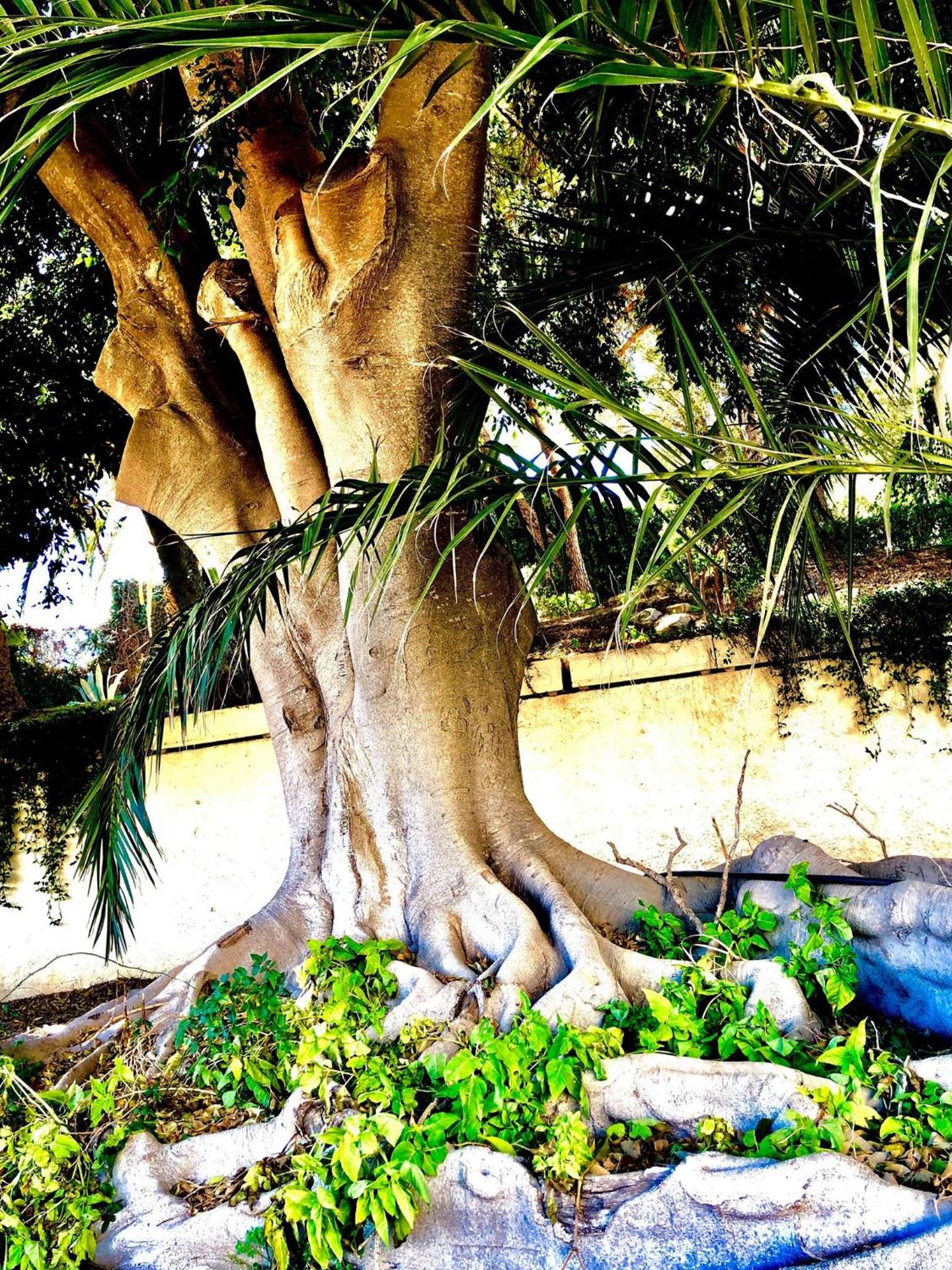 Albufeira Jardim - Apartamentos Turísticos