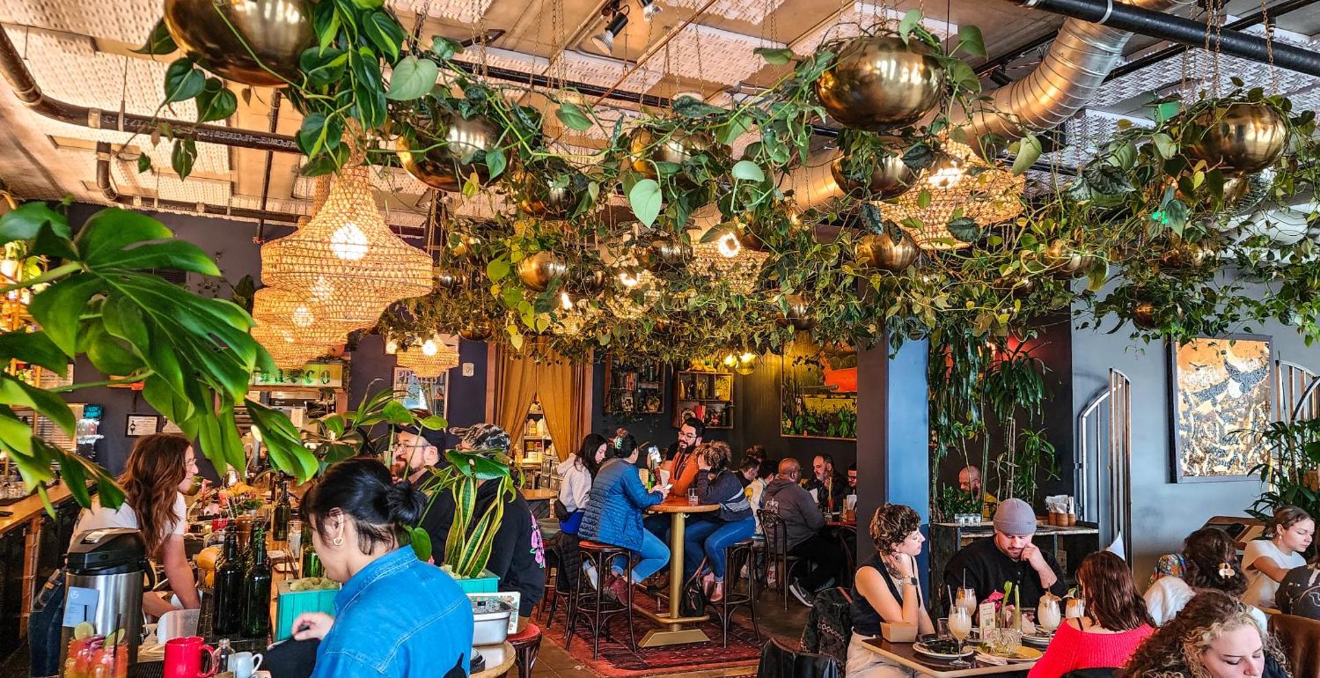 Restaurant/places to eat