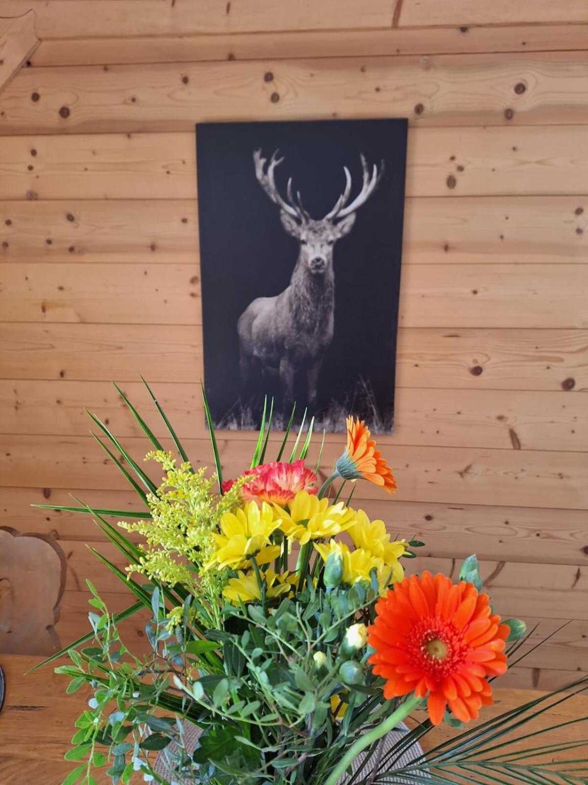 La Coufa, spacieux Duplex en chalet, terrasse, jardin, vues montagnes