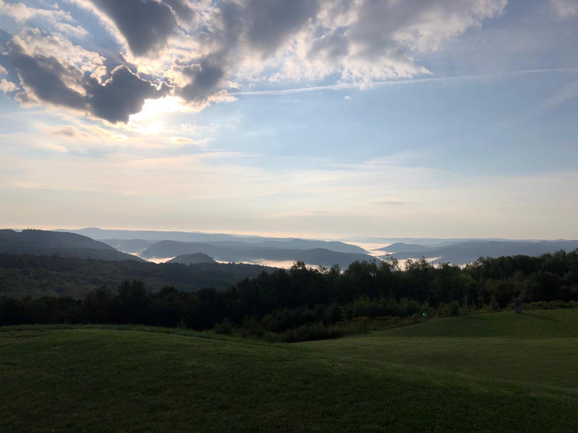 View (from property/room)