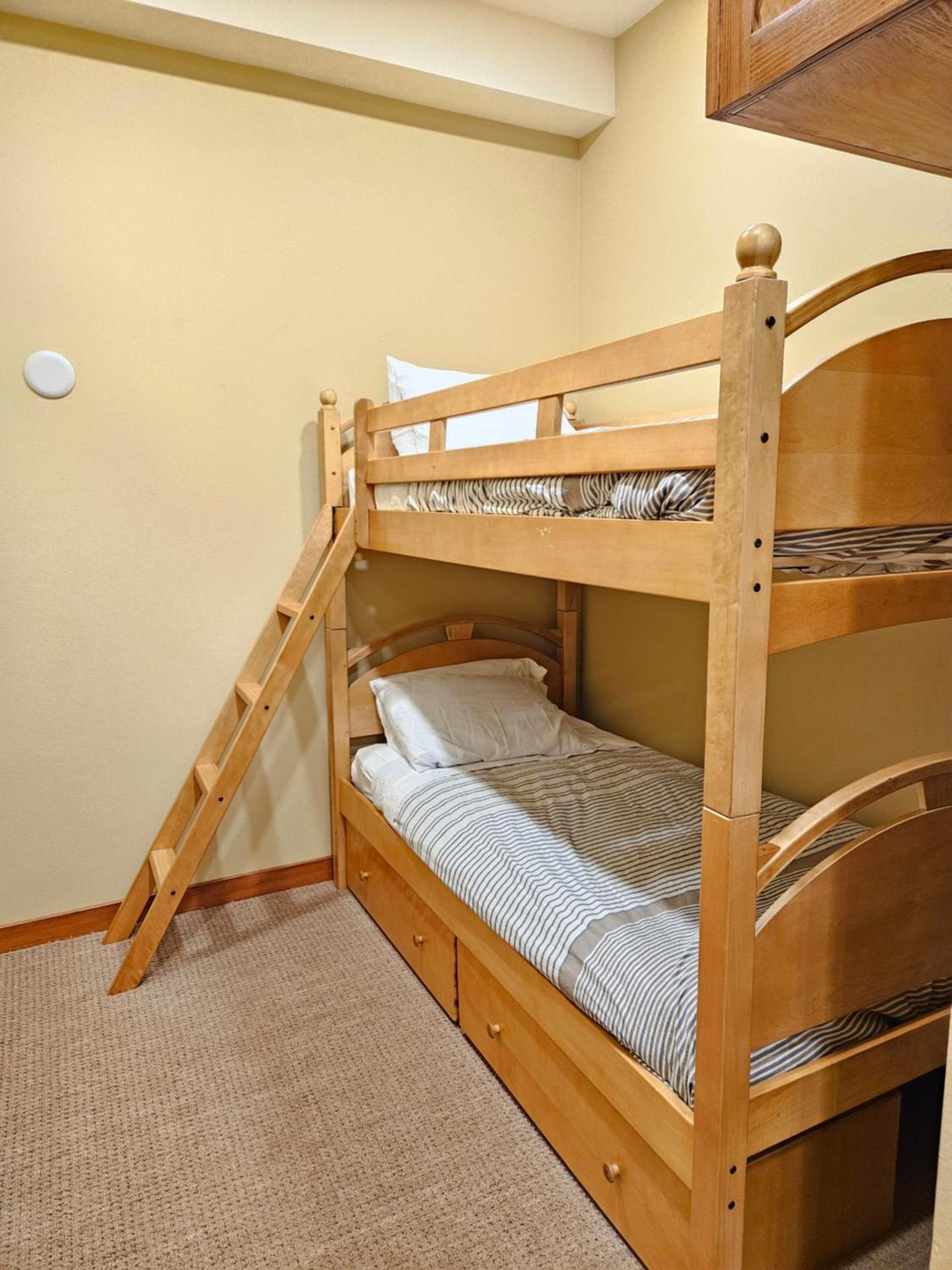 Stunning at Solitude, Steps from Chair Lift, East #103