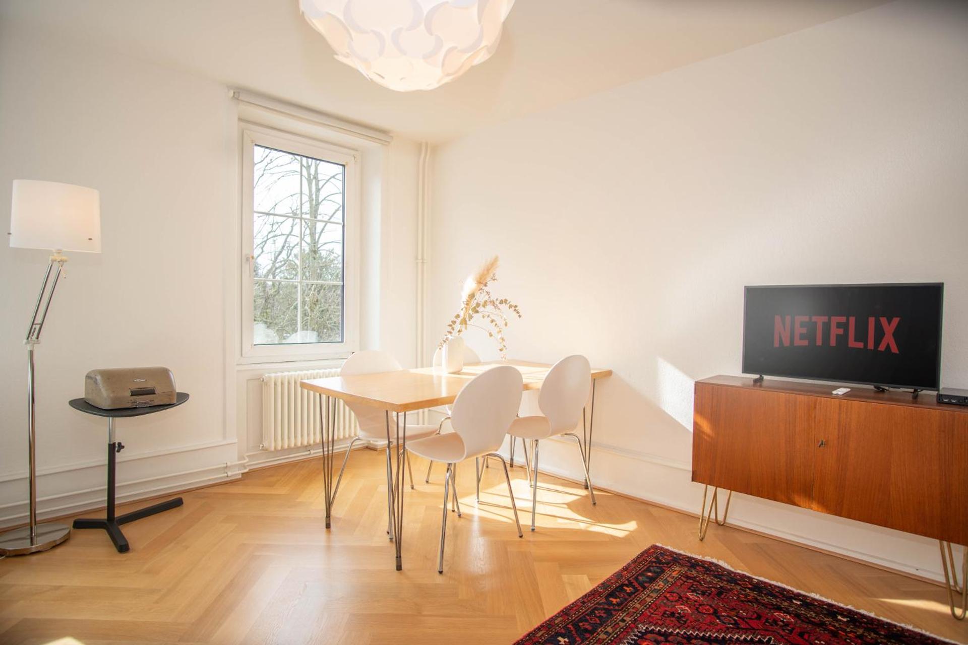 Spacious apartment next to park with free BaselCard