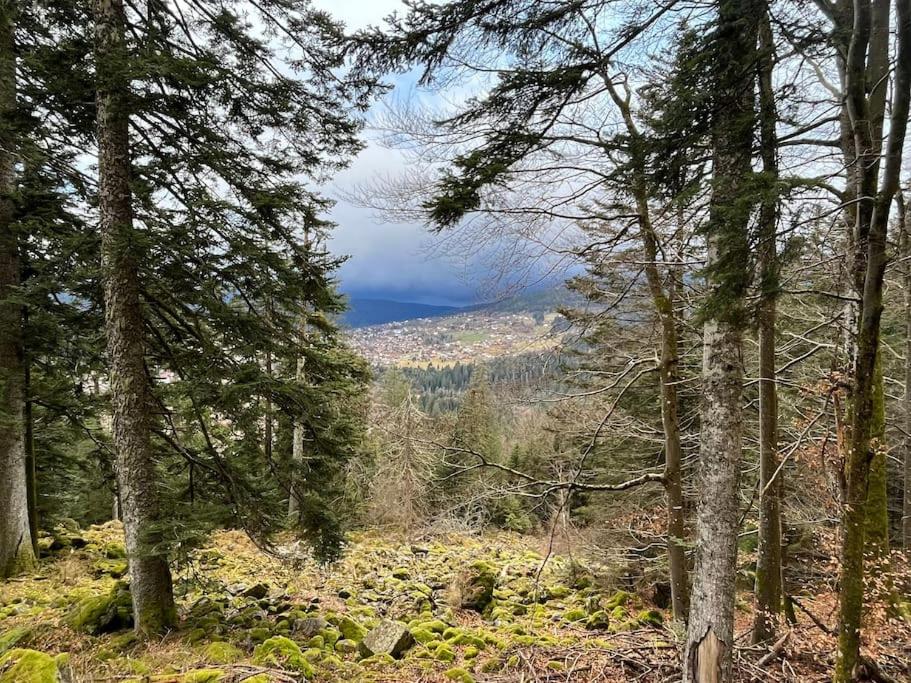 Chalet 3 étoiles à Gérardmer.