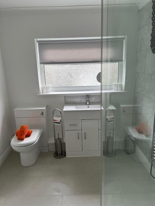 Town Centre Studio Flat