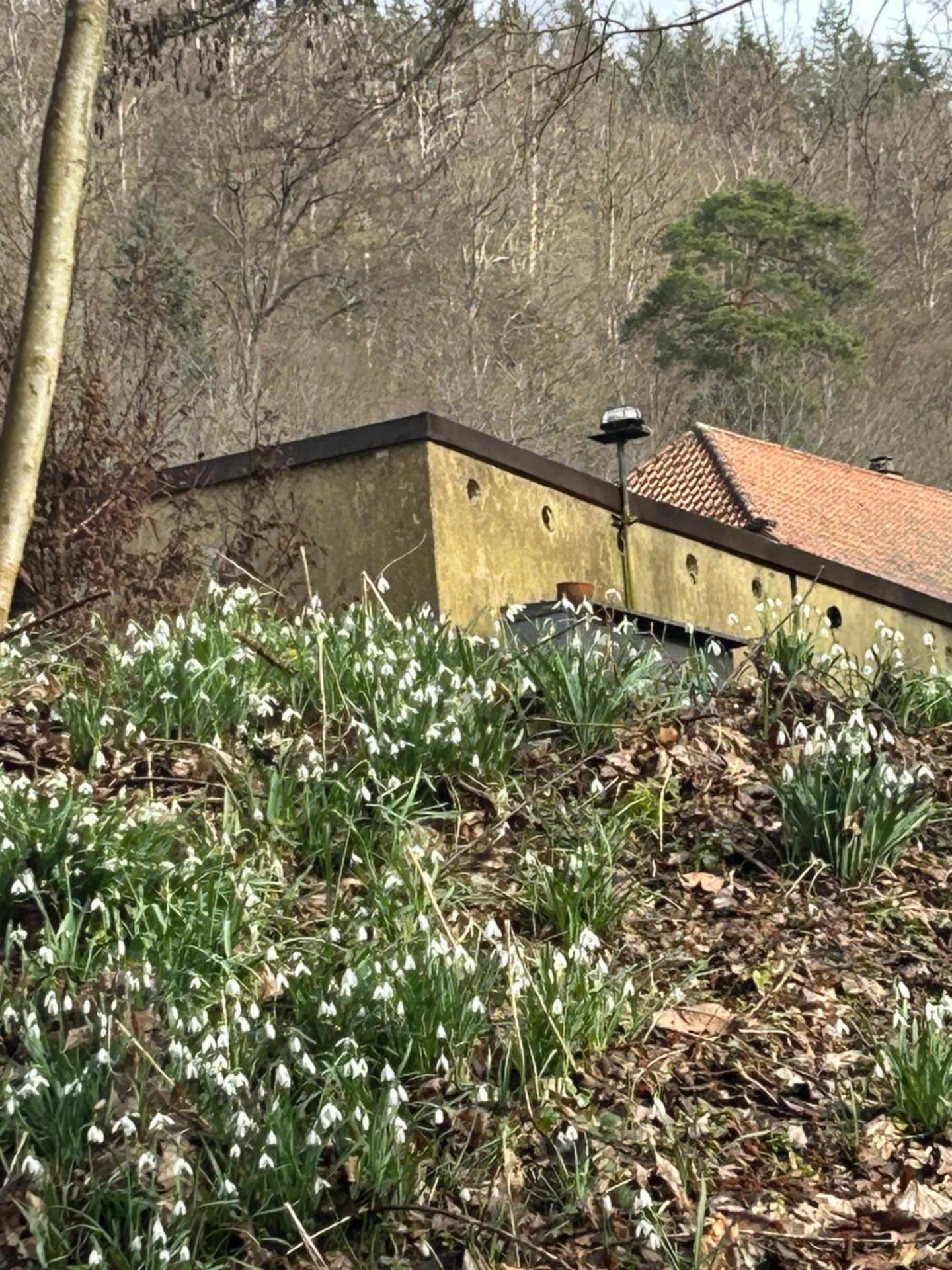 Ferienhaus im Schwarzwald