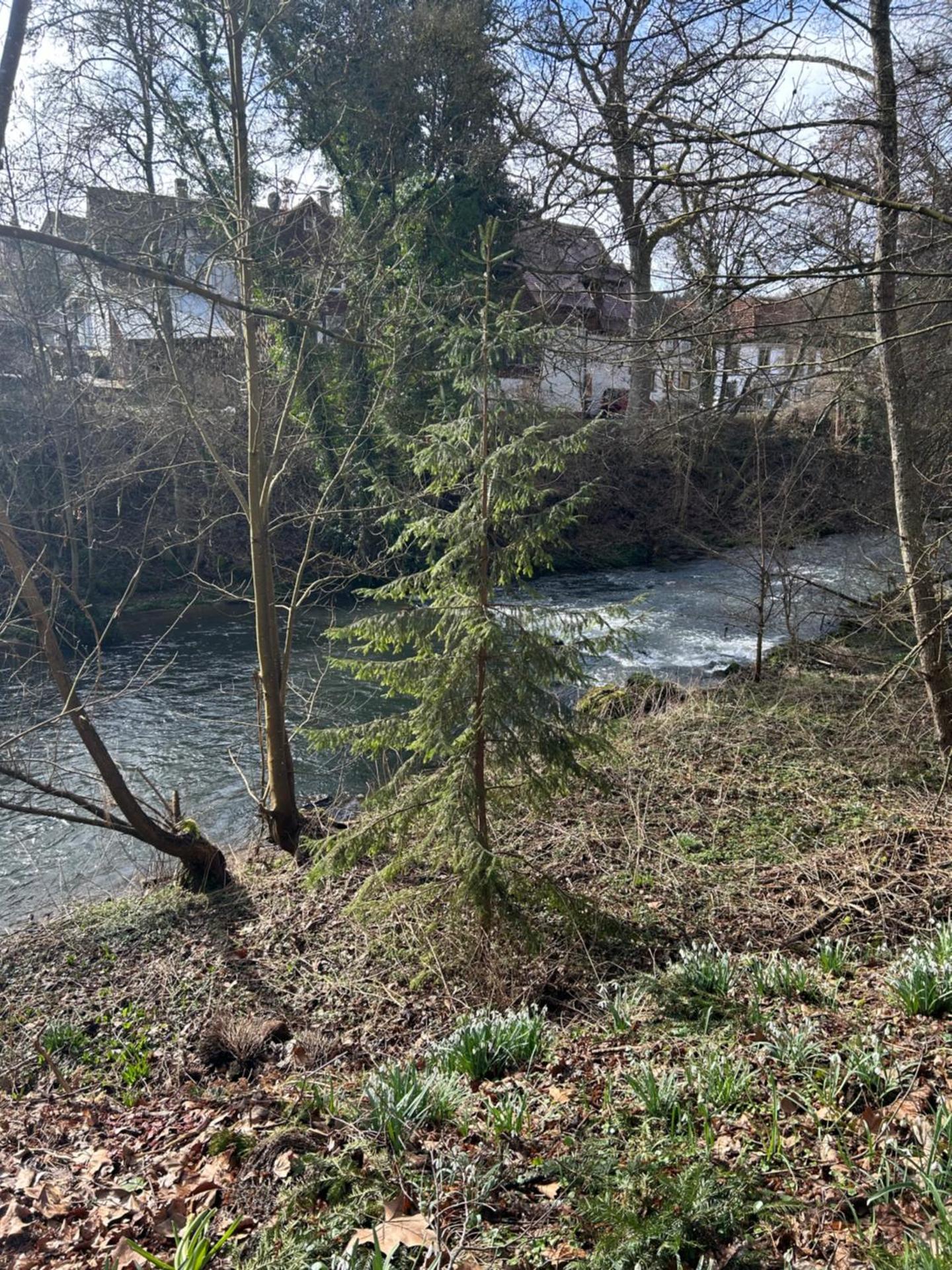Ferienhaus im Schwarzwald