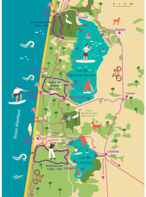 Résidence Les Grands Pins - T2 avec piscine