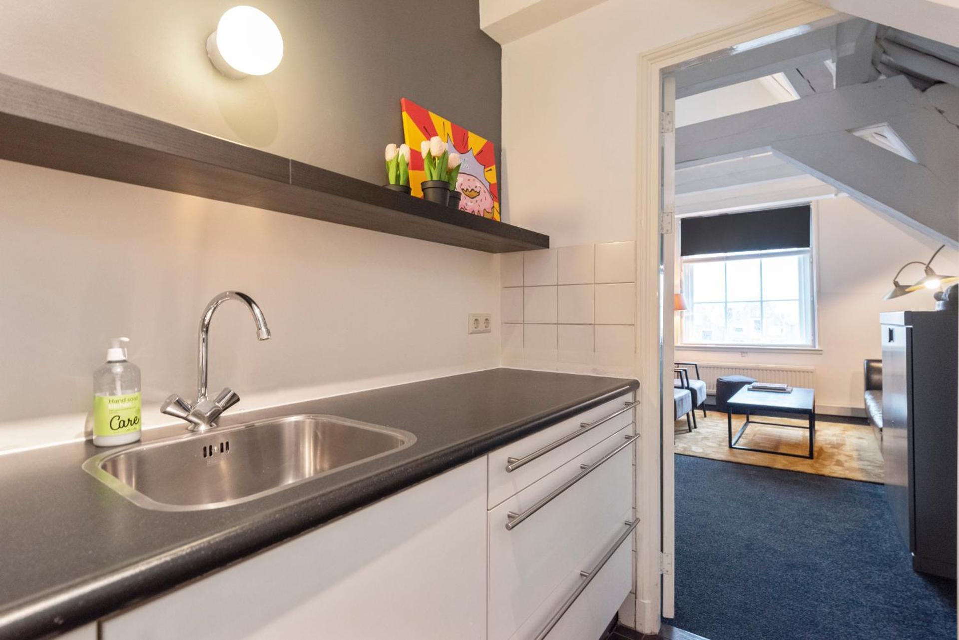 Spaarne Luxury Residence Haarlem