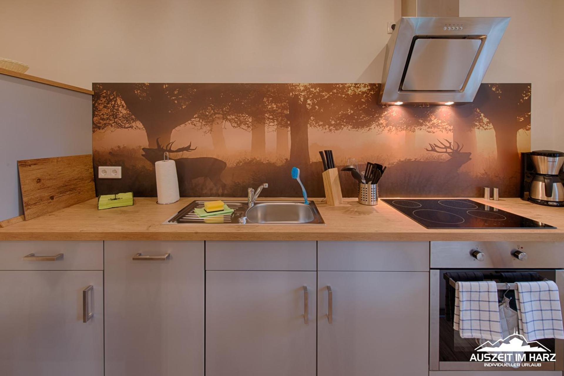 Auszeit-im-Harz Haus 2 Wohnung 1