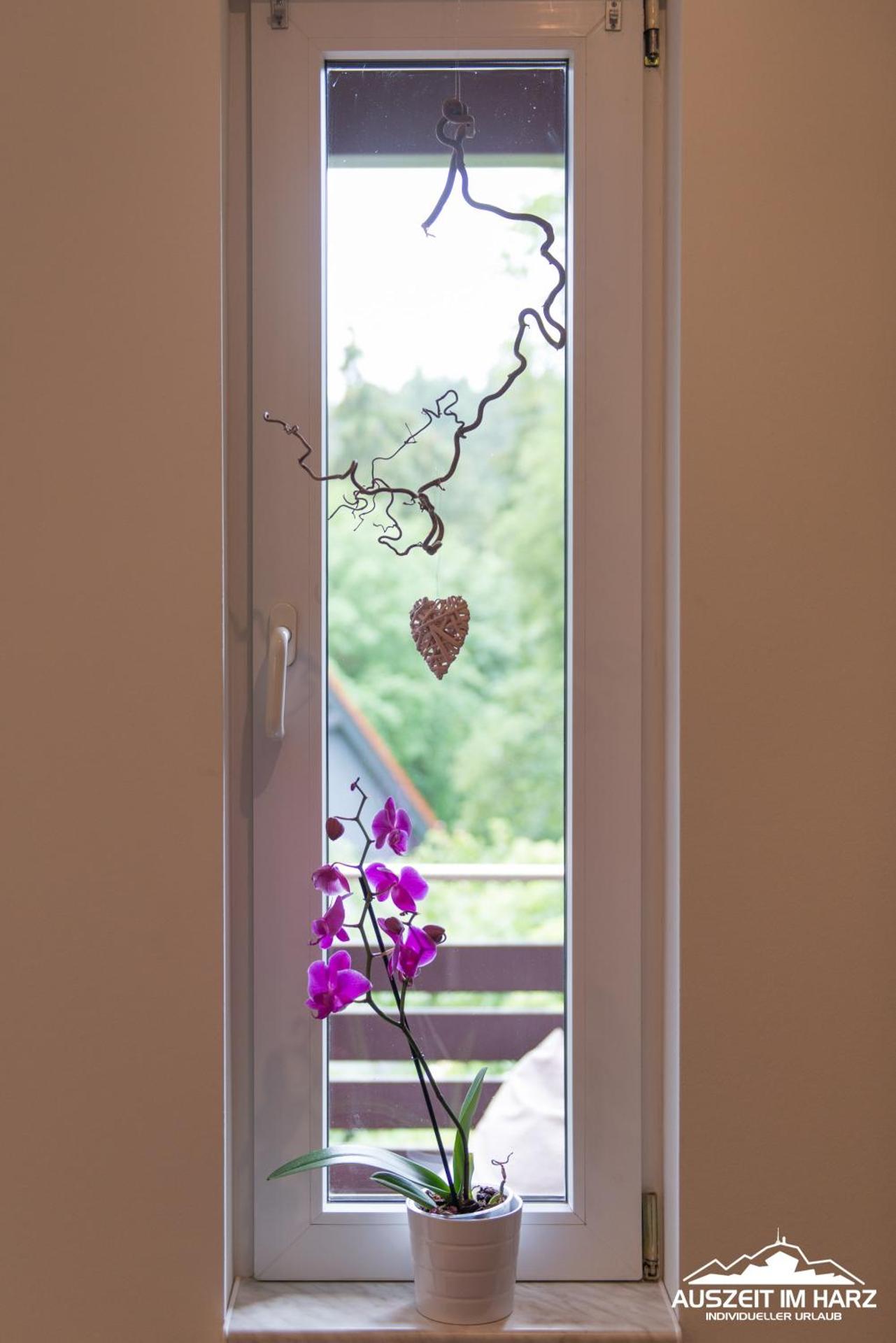 Auszeit-im-Harz Haus 2 Wohnung 1