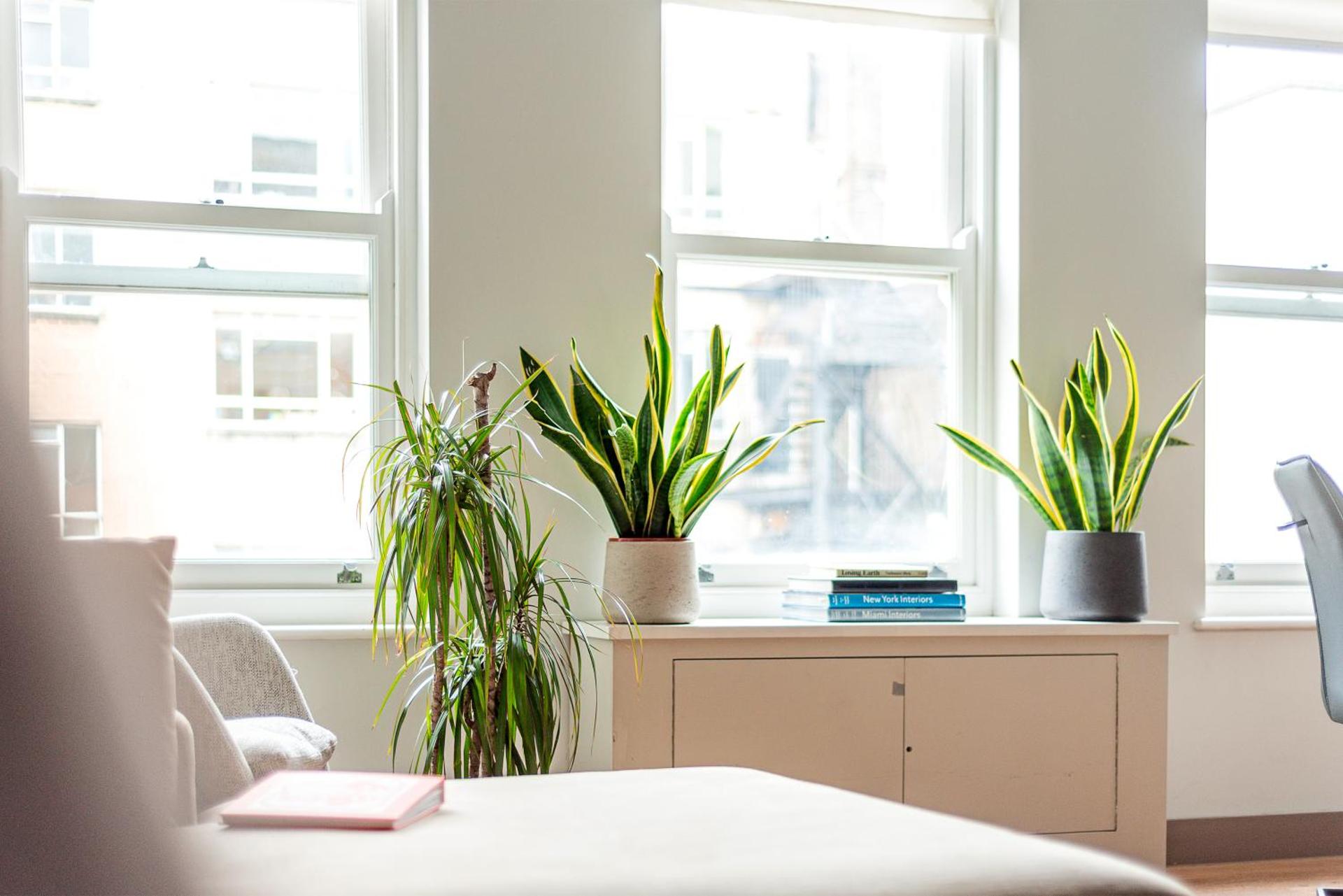 Arcore Premium Apartments: Mayfair