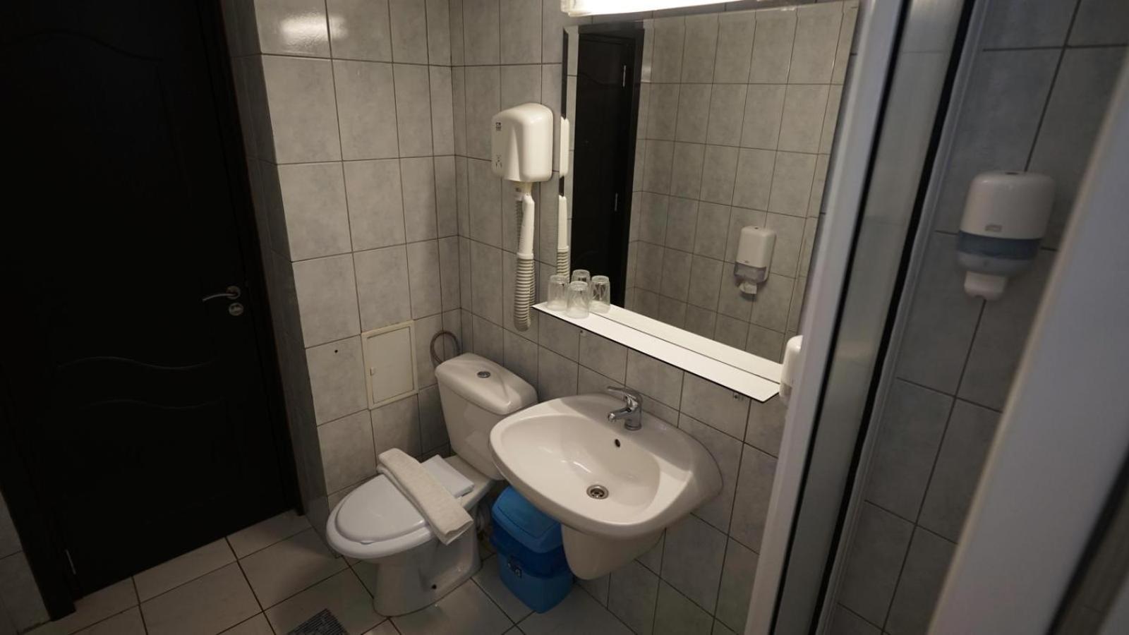 Vila Trandafirul si Liliacul